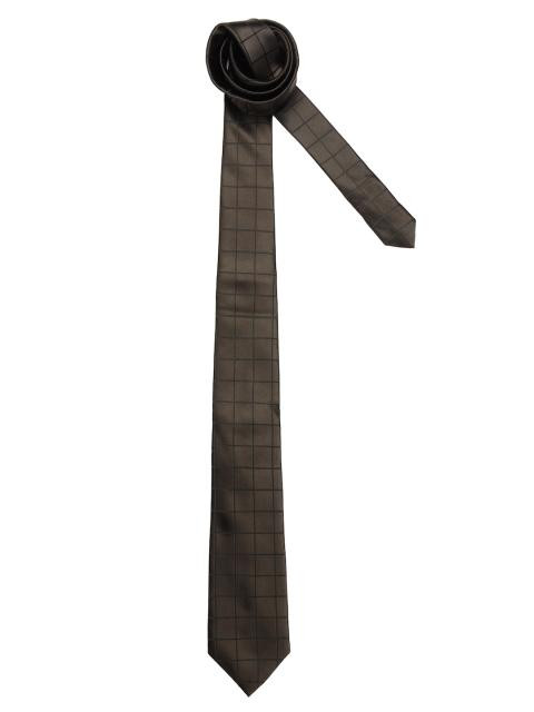 Turtle Men Check Brown Ties