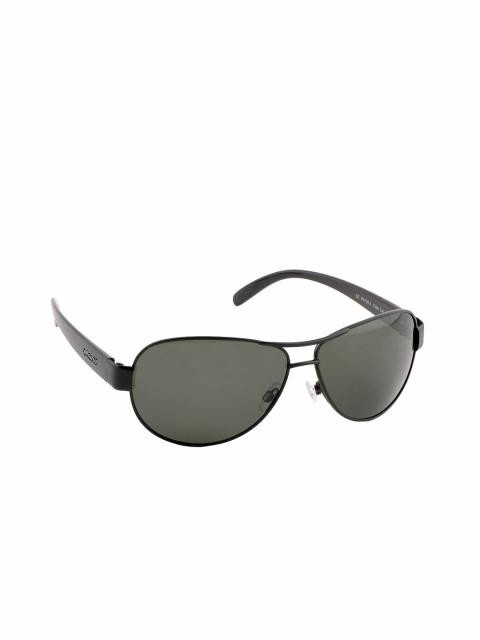 Polaroid Men Sunglasses