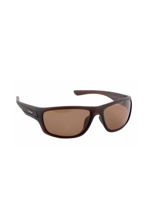 Polaroid Men Sunglasses