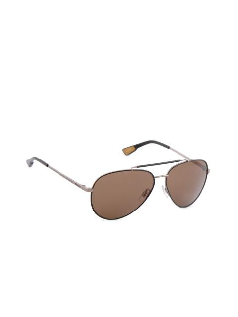 Pal Zileri Men Casual Copper Frame Sunglasses