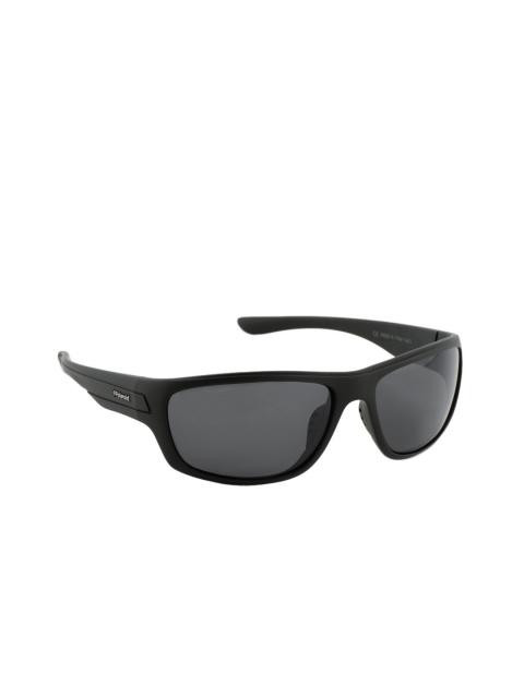 Polaroid Men Sunglasses