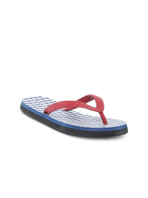 ADIDAS Women Blue Flip Flops