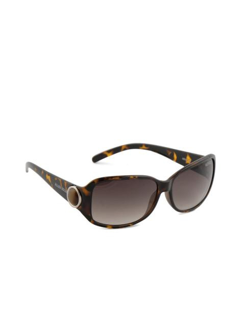 Allen Solly Women Sunglasses AS150-C3