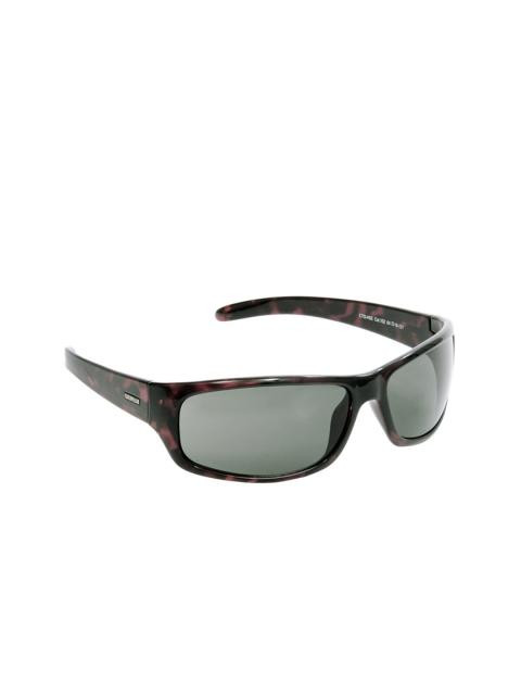 Cat Unisex Sunglasses