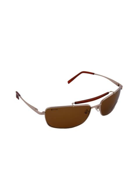 Fastrack Unisex Brown Sunglasses