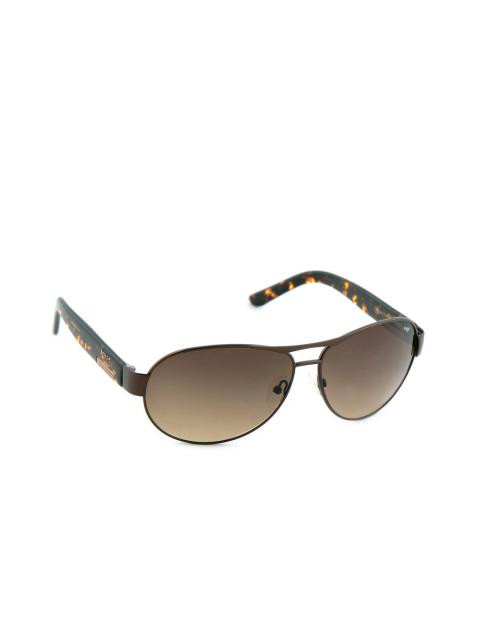 Image Men Classic Eyewear Brown Sunglasses