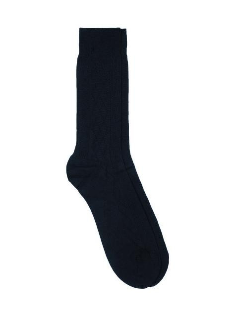 Raymond Men Navy Socks