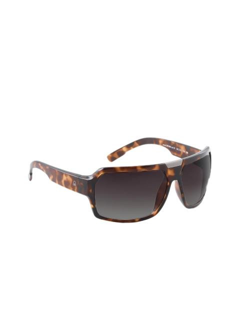 United Colors of Benetton Men Brown Sunglasses