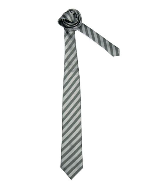 Peter England Men Elite Grey Tie
