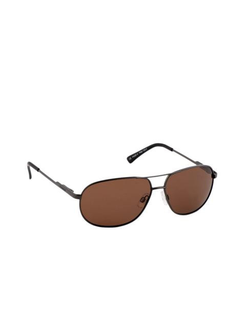 Polaroid Men Sunglasses