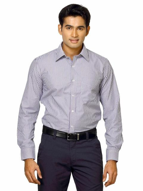 Mark Taylor Men Blue Striped Shirt