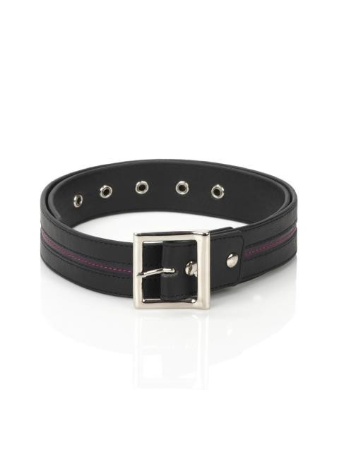 Baggit Women Rocker Taj Black Belt