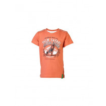 Palm Tree Kids Boys Printed Orange Tshirts