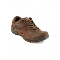 Skechers Men USA Brown Shoe