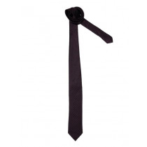 Peter England Men Elite Purple Tie