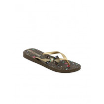 iPanema Women Brown Flip Flops