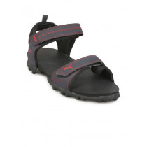 Puma Men Photon Navy Red Sandal