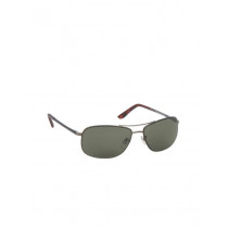 Cat Men Copper Sunglasses