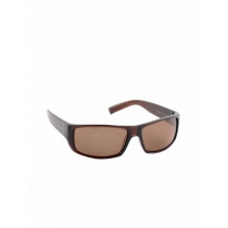 Polaroid Unisex Sunglasses