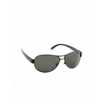 Polaroid Men Sunglasses