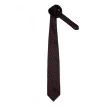 Peter England Men Elite Black Tie