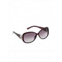 Miami Blues Women Brownish Grey Sunglasses