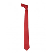 Park Avenue Men Red Tie