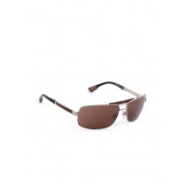 Pal Zileri Men Casual Steel Frame Sunglasses