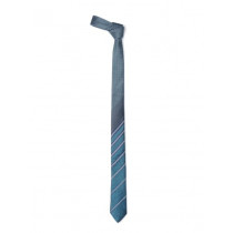 Parx Men Blue Tie