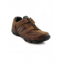 Skechers Men USA Brown Shoe