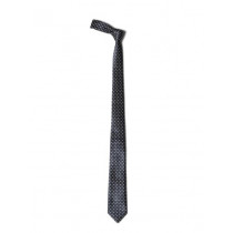 Allen Solly Men Navy Blue Tie