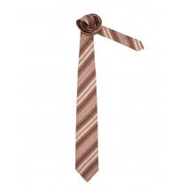 Reid & Taylor Men Stripes Brown Ties