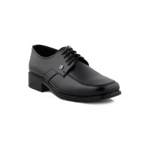 Franco Leone Men Formal Black Formal Shoes