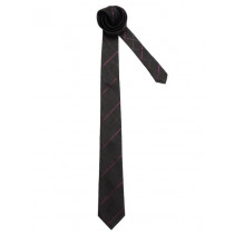 Turtle Men Check Black Ties