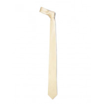 Reid & Taylor Men Cream Tie