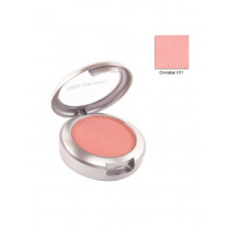 ColorBar Cinnabar Blusher 11