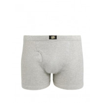Hanes Men Grey Boxer Brief
