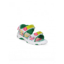 Warner Bros Kids Green sandals
