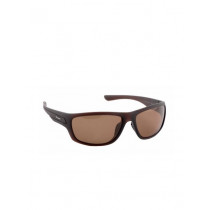 Polaroid Men Sunglasses