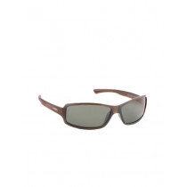 Polaroid Unisex Sunglasses