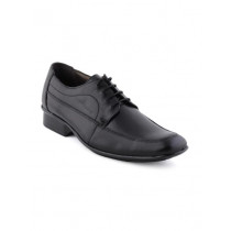 Lee Cooper Men Black Formal Shoes