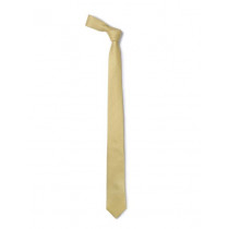 Reid & Taylor Men Gold Tie