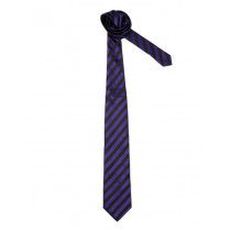 Peter England Men Elite Purple Tie