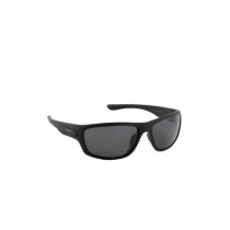 Polaroid Men Sunglasses