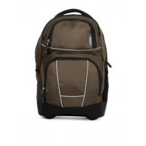 American Tourister Unisex Brown Wanderer Backpack
