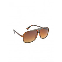 Allen Solly Men Brown Sunglasses AS232-C3