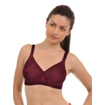 Enamor Full Figure Burgundy Coloured Bra FB 09