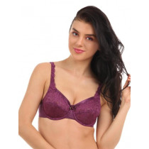 Enamor Purple Full Figure Bra