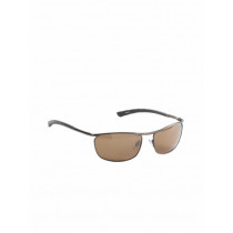 IDEE Men Brown Sunglasses