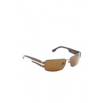 Louis Philippe Men Brown Sunglasses